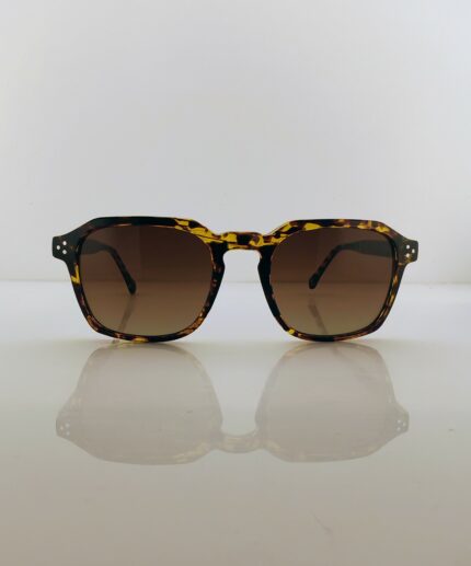 Lunettes de Soleil Ikaly SP 4245